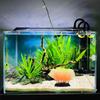 Fish Tank Decorations Plants Aquarium Decorations Plants Fish Tank Accessories Décor Thematic Ornaments For Fish Tank