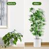 1/1pcs Iron Plant Climbing Support Frame,Tomato and Climbing Plant Support Grating,Creative Flowerpot Support,for Plant Climbing