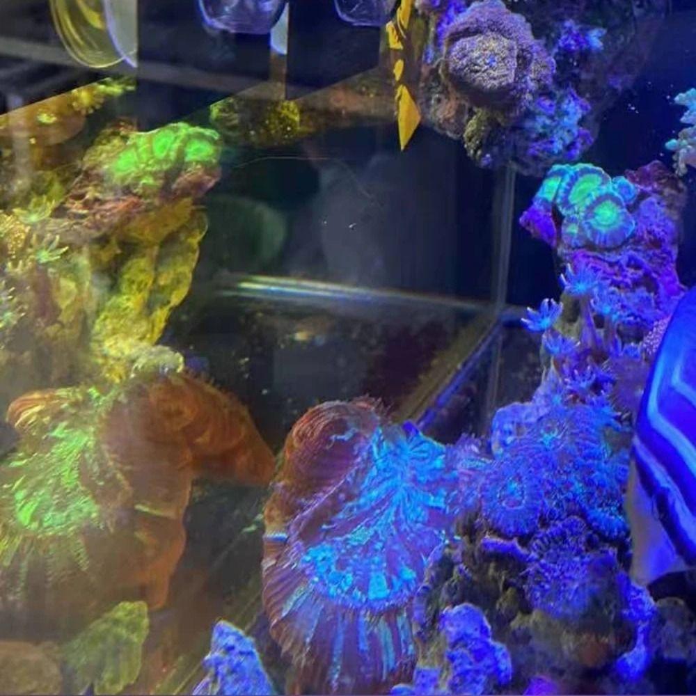 Durable Coral Growing Holder Acrylic Marine Reef Stand Aquarium Accessories Coral Rack  Fish Tank