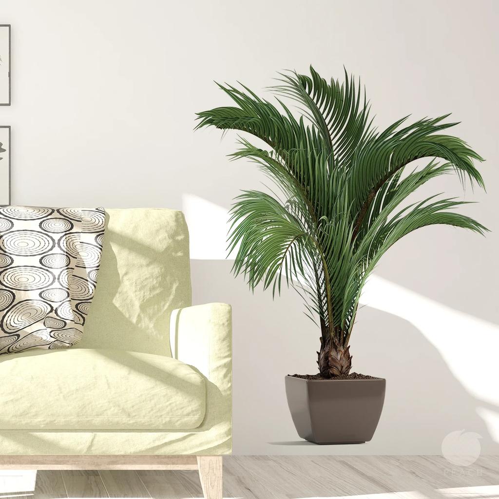Simulation of Green Plants Potted Art Wall Stickers for Bedroom Living Room Office Decoration Wall Decal