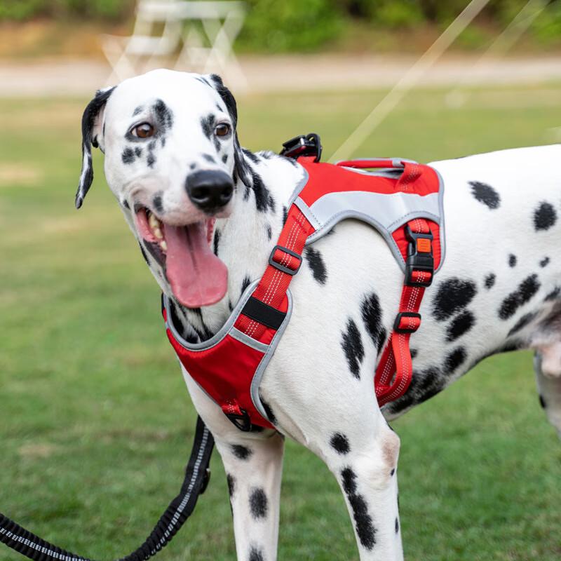 OLOMMairuidog No-Pull Reflective Dog Harness Vest