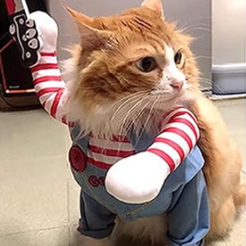 Katzenkillerpuppe Halloween-Kostüm - Lustiges Cosplay für Haustiere