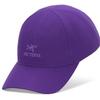 Arcteryx Bird Word Cap 25fw Le1220403889