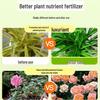 General-Purpose Hydroponic Nutrient Solution for Indoor Flowers and Green Plants
