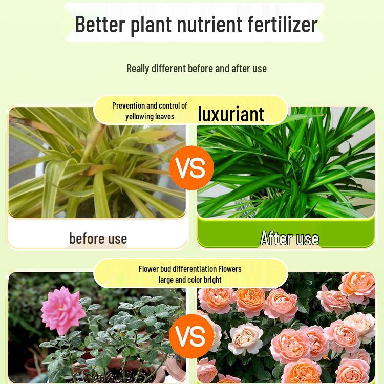 General-Purpose Hydroponic Nutrient Solution for Indoor Flowers and Green Plants