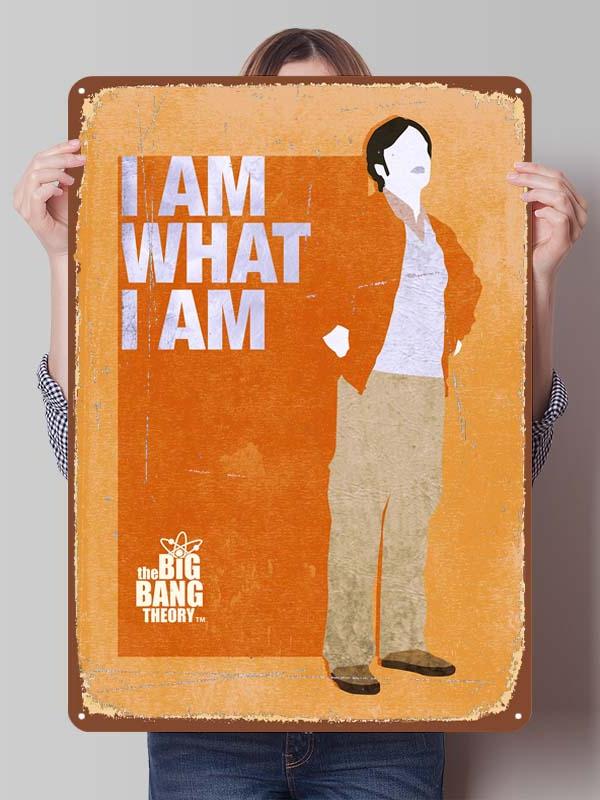The Big Bang Theory Séries de TV Pôsteres de Metal Decoração para Decoração de Quarto Placas de Metal Personalizadas Placas de Lata para Decoração de Arte de Parede Casa
