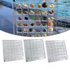 Acrylic Magnetic Seashell Display Box Seashell Display Box Diamond Storage Box Transparent Shell Storage Box Jewelry Storage