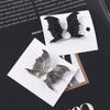 Female Headwear Girls Women Hair Clips Hair Accessories Korean Style Barrettes Bat Wings Hairpin