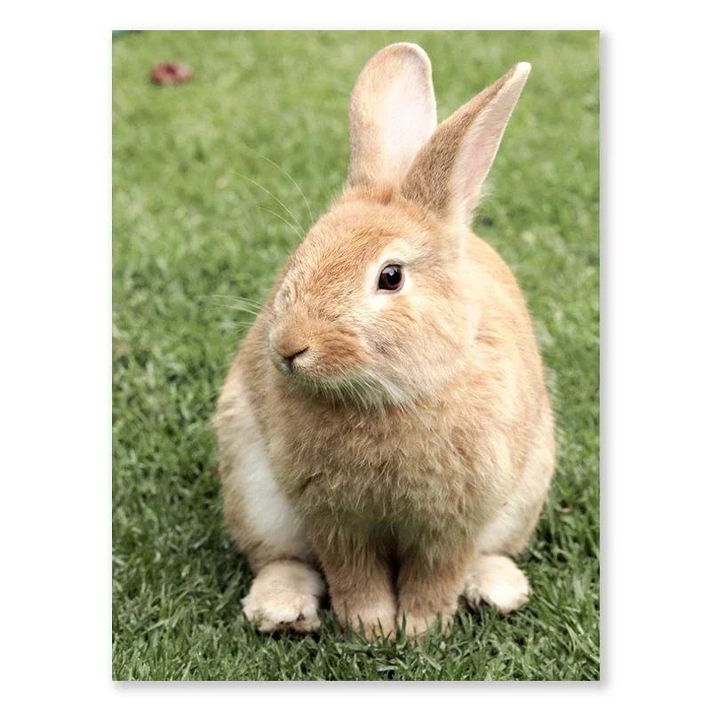 Boho Bunny And Flowers Decorative Easter Print Wall Art Poster Warm Modern Gallery Wall Living Room Decorative Canvas Painting