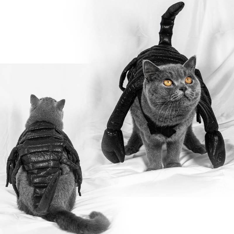 Halloween Haustier Kostüm Süßes Skorpionkönig Kostüm Für Katzen Und Hunde Aus Schwarzem Stoff