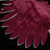 Lilizzhoumax Paleontologická série, Plyšová hračka Anomalocaris, Členovec, Plyšová hračka, Plyšová hračka kambrického zvířete, Hračka, Měkká, Hlubokomořská, Plyšová hračka, Vhodná