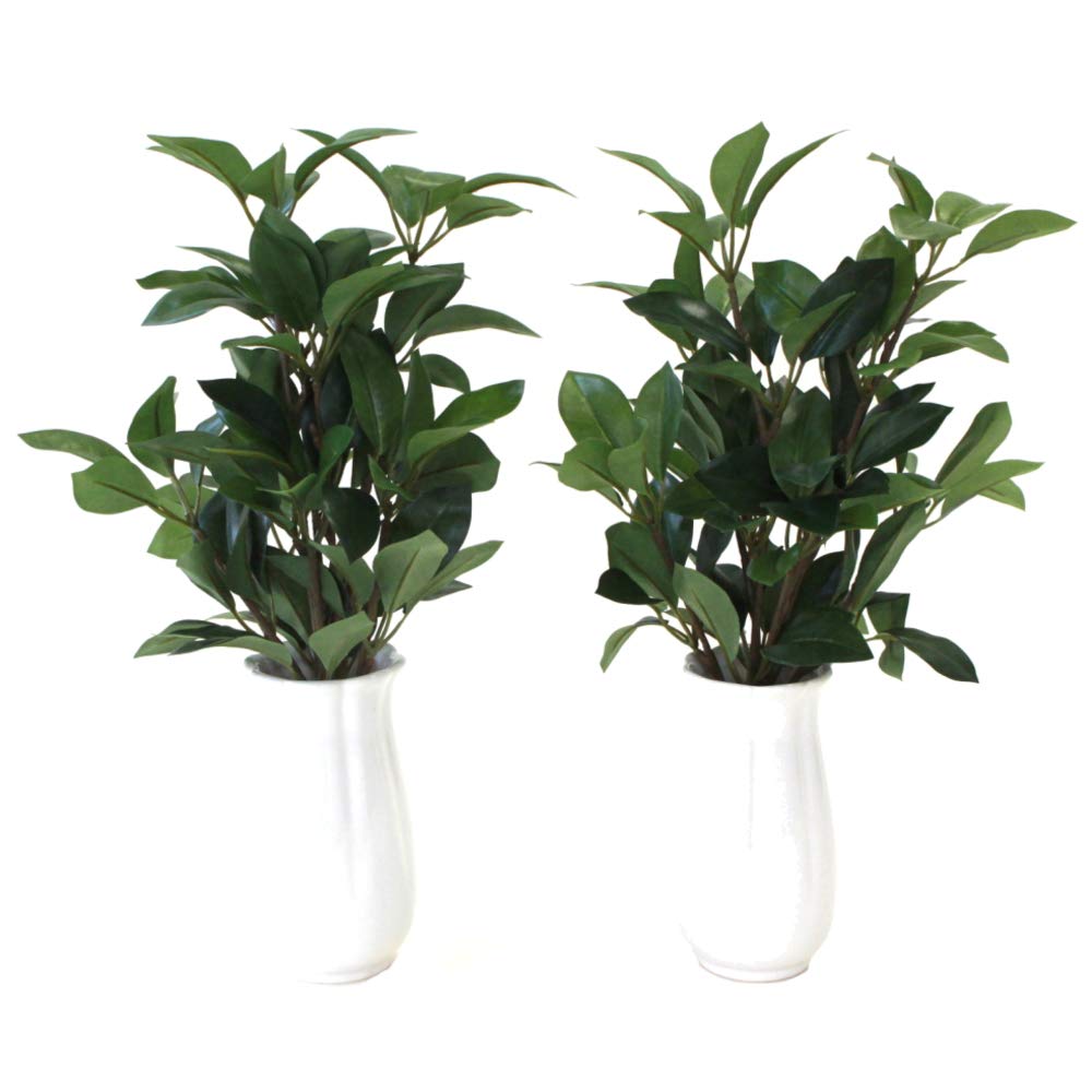 Yamakyu Artificial Flowers for Offerings To Small CT Catalyst Silk Flowers Buddha, Shikimi, Shikibi, Oshikimi, Shikimi, Pair, 35cm, Processing,