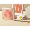 LANSUR - Explore Nature Series 3-Colors Blush Palette