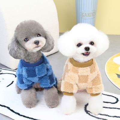 Giyim ve ayakkabı – Köpekler için kazaklar