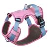 Dogs Chest Strap Dog Harness and Leash Set Small Pet Supplies Puppy Accessories Big Breeds Pets Backpack Large Collar