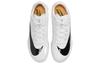 Nike Triple Jump Elite 2 'White Hyper Pink Orange' AO0808-101