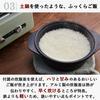 Aladdin Graphite Grill 4 Low Temperature 8 Cooking Recipe Grill Rice Cooker Included with Green & Toaster, Pieces, Cooking, Menus, Book, Pan,