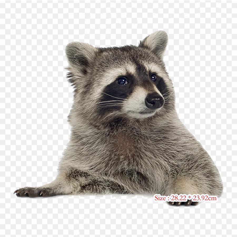 Roztomné Dýně Dýně Nažehlovací Teplo Přenosový Tisk Vinylové Nášivky Samolepka na Oblečení DIY Aplikace Pratelné Náplasti