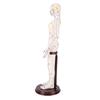 20.5 Inch Acupuncture Model Accurate Full Body Human Acupoint Model with Base Rotatable Arms for Teaching Student Demonstration White Hard