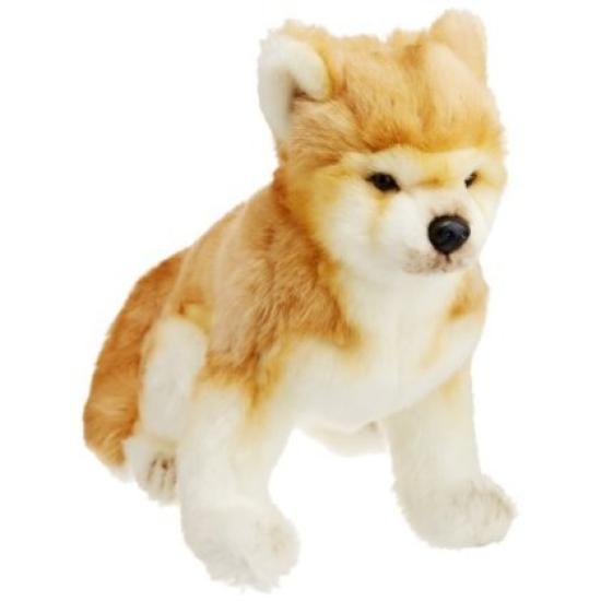 BH6341 HANSA Shibaken 23