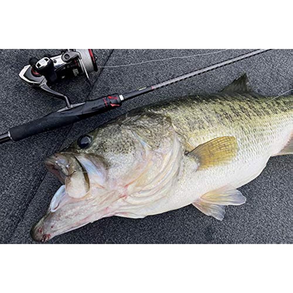 SHIMANO (SHIMANO) Pitbull G5 150m LD-M51U High Orange No.1