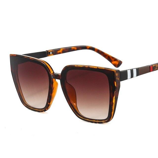 d frame sunglasses womens