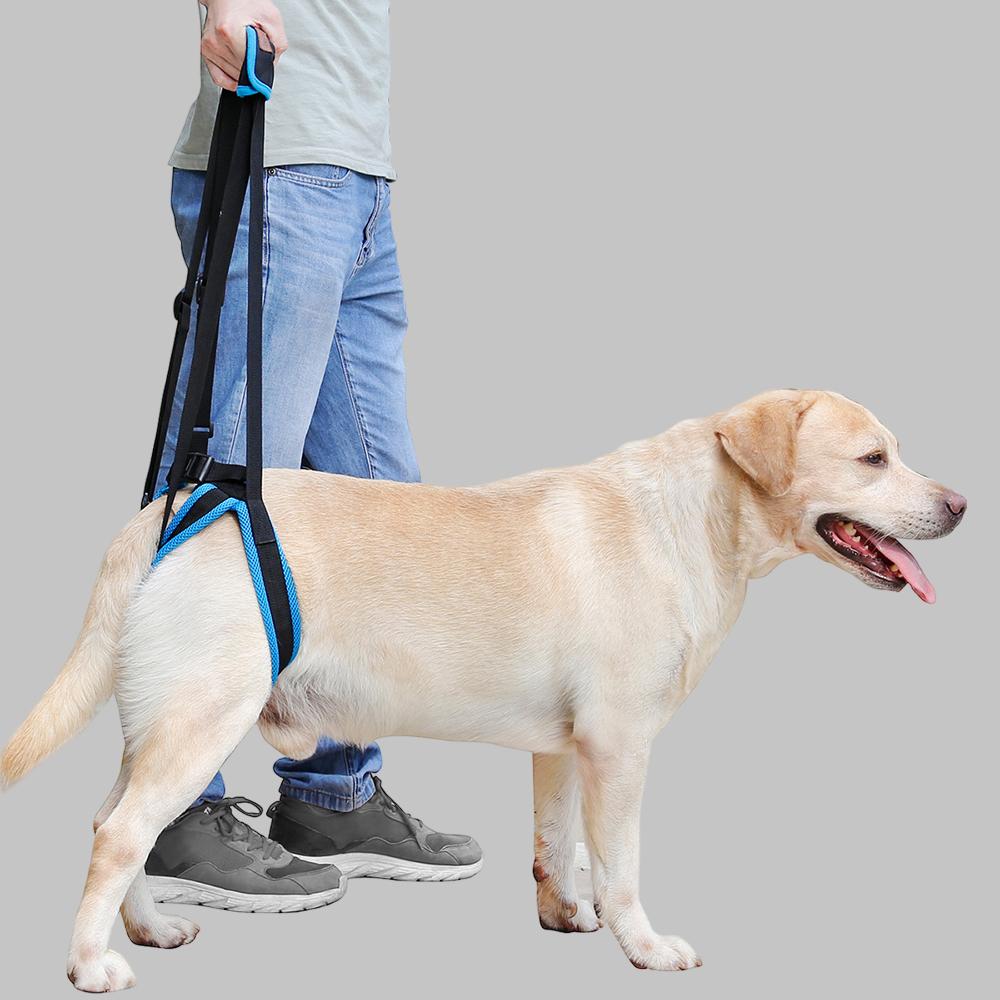 Ремень для поддержки собаки для передних и задних лап, регулируемый ...