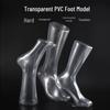 Unisex Magnetic Transparent PVC Foot Mold Display with Mid-Calf and Short Socks