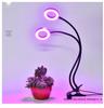 USB LED Plant Grow Light - Indoor Supplemental Light for Flowers, Bonsai, Succulents, 5V Small Table Lamp