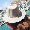 Autumn and Winter Vintage Woolen Hat, Fashionable Metallic Korean-style Women's Sunshade Jazz Hat, British-style Large-brimmed Felt Hat In Gray