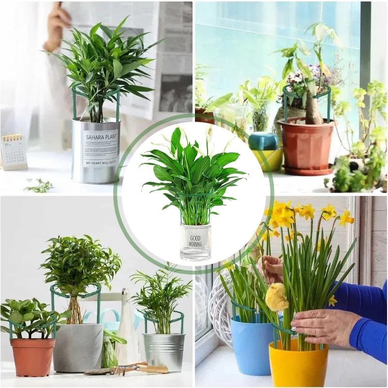 1/3/12Pcs Plant Support Cage Frame Greenhouses Flower Stand Holder Plant Arrangement Fixed Rod Pile Garden Bonsai Accessories