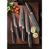 XINZUO 5-Piece Kitchen Knife Set, Damascus Steel, High Carbon Steel Chef Knife, Slicing Knife, Santoku Knife, Utility Knife, Paring Knife Set, Pakkawo