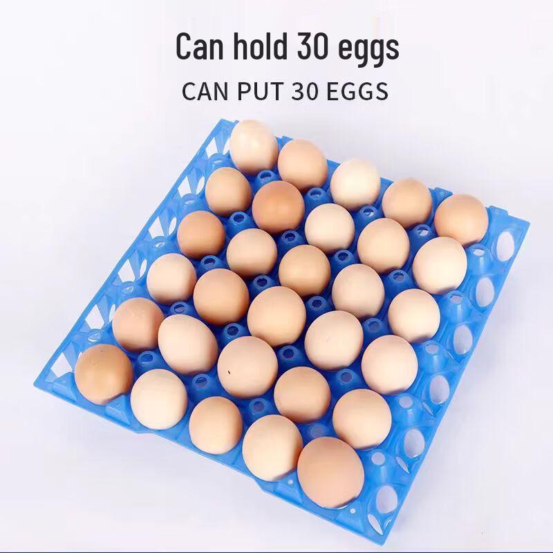 TS Plastic Egg Tray
