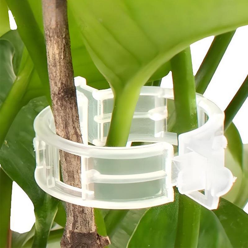 100Pcs Plant Support Clips,Snap-On Reusable Gardening Vine Brackets For Vegetables And Other Climbing Plants Weatherproof Tool