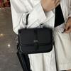 2025 Fall/Winter Women's Korean Style Fashionable Simple Crossbody Shoulder Bag - Trendy Casual Small Square Design