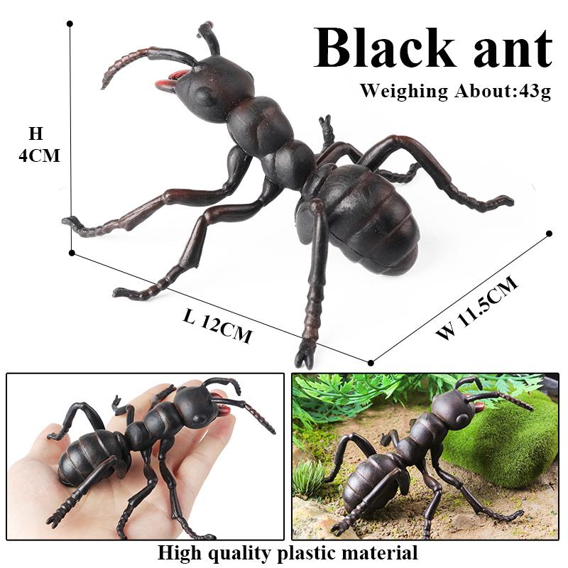 Oenux Insect Animals Model Figurine Butterfly Ant Dragonfly Spider Bee Mantis Scorpion Action Figures Educational Kid Toy Gift