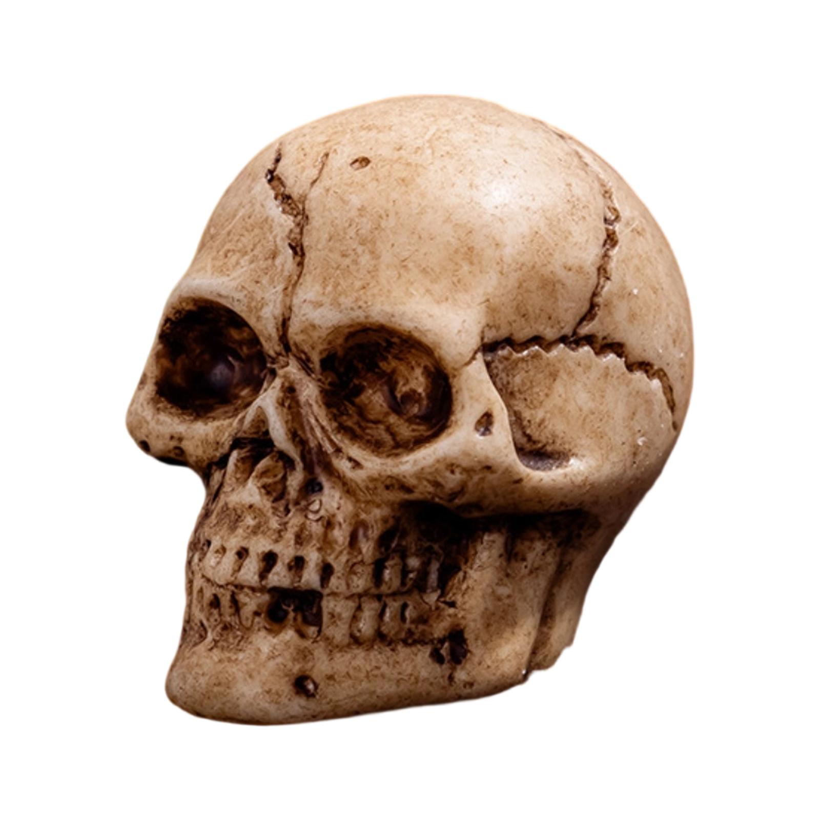 

Хэллоуин Ужасы Симуляция Сделай сам Смола Ремесло Декоративные Аксессуары Ручной работы Маленькие Украшения One Size