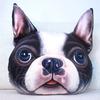 Lovely Funny Doge Plush Pillow 3D Simulation Shiba Inu Cushion Dog Head Pillow