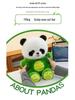 Panda to Dinosaur Transforming Plush Toy – Cute Panda Doll Pillow, Perfect Birthday Gift for Girls.