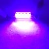 WiseShine DC24V 41mm 42mm 578 Festoon LED Bulb Light Pink Purple Car Bulb 211-2