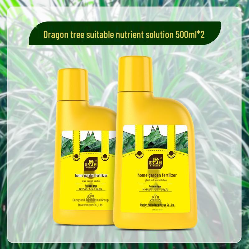 Stanley Dragon Tree Care: Nutrient Solution & General-Purpose Fertilizer for Healthy Green Plants