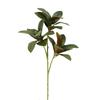 Real Touch Artificial Magnolia Leaf Plant 75cm Green Plants Fake Magnolia Plant  Wedding Decor