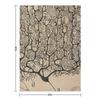 Cajal's Neurons Sketch Throw Blanket Summer Beddings Wednesday Kid'S Moving Blankets