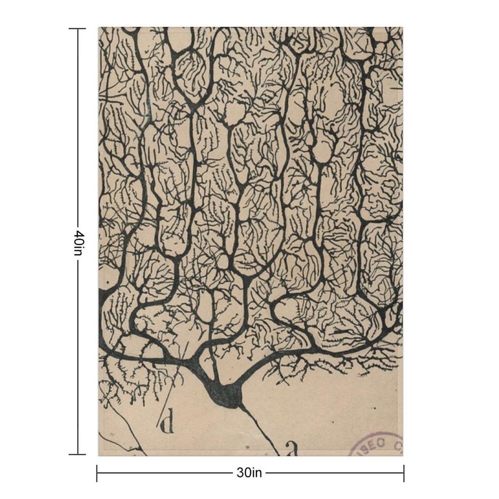 Cajal's Neurons Sketch Throw Blanket Summer Beddings Wednesday Kid'S Moving Blankets