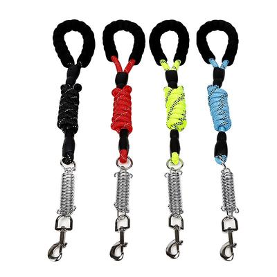 Cani – Collari e guinzagli per cani