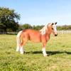 Solid Simulation Toy: Thousand Li Horse, Dutch Draft Stallion & Tennessee Walking Mare