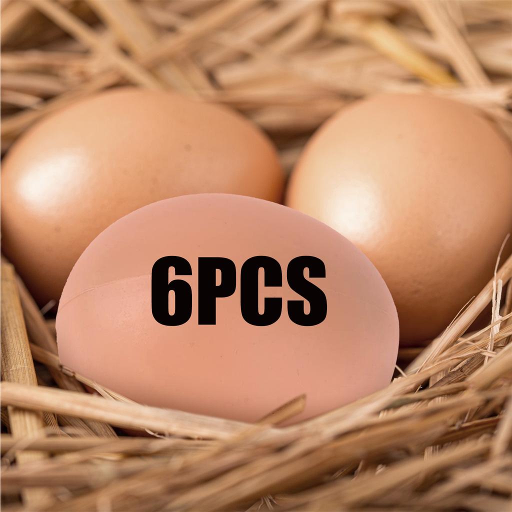 6/12 Stück Plastikeier Hühnerhaus Kleine Fake-Eier Nutztiere Zubehör Käfigzubehör Führung Hühnernest Ei Malen