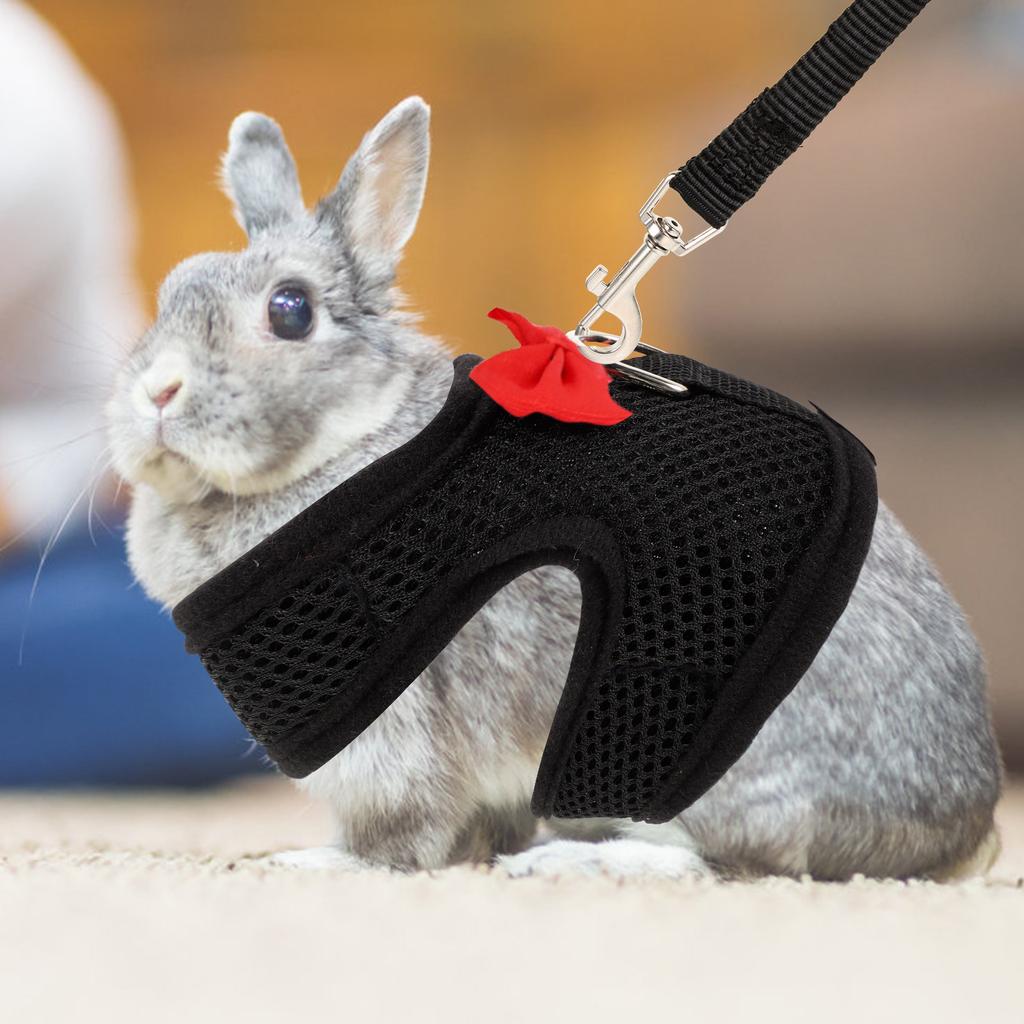 1Set Pet Harness Leash Rabbit Harness Bunny Walking Supplies Breathable Bunny Vest Leash Outdoor Traction Rope