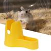Hamster Water Bottle Stable Feeding Lightweight Automatic Feeding Device Food Container Pet Drinking Supplies