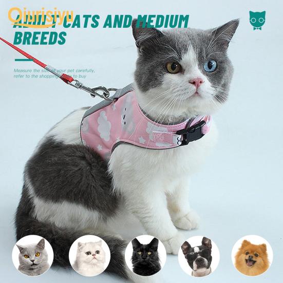 cat vest harness